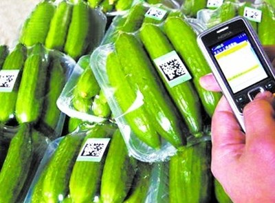 探索“掃碼觀菜、冷鏈出菜”新模式 讓農產品更安全直達餐桌